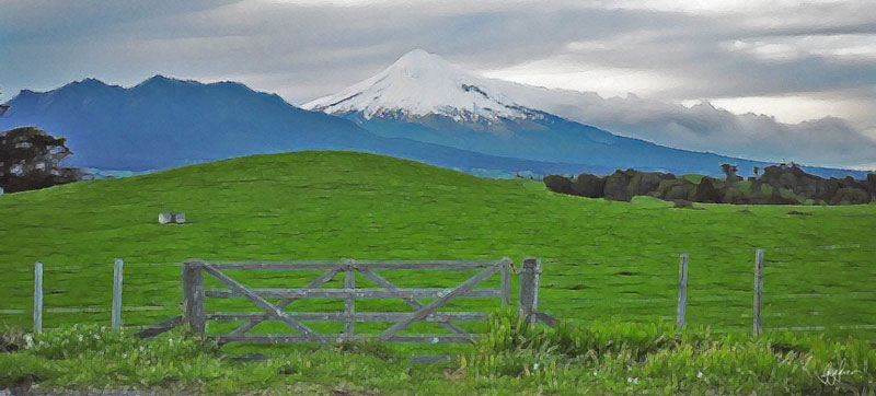 ContentmentTaranaki